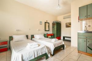 Anemona studio B