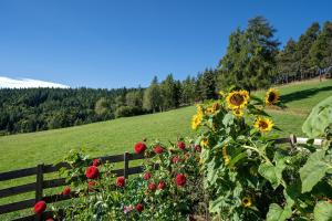 Stücklhof Wohnung Veilchen