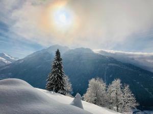 Studio Skis Aux Pieds