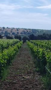 Country House Biobonizio