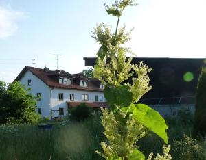 Moorwiesenhof
