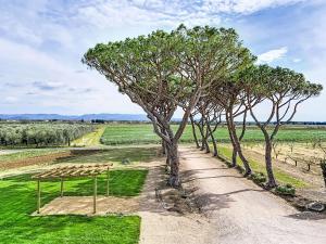 Apartment I Pini-2 by Interhome