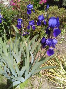 Chambres Dhôtes De Kersehen