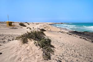 La Palmera de la Oliva