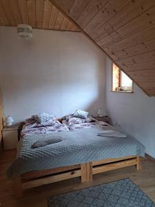 Karkonosz4B
