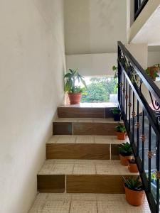 Habitación Malibú en Panajachel