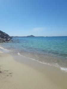 L'acquario img27