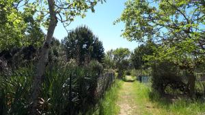 Aurora, magnifique, classé 3 étoiles, 6 personnes, accès direct plage, parking privé, vue mer à travers la pinède