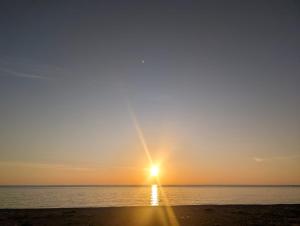 Da Fratello Coscienza