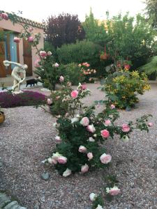 Villa Désirée Agde - Studio dHôte