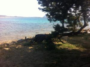 Villa Oleandro - 2349447