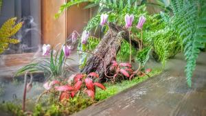 Villa Panoramica - Giardino Privato