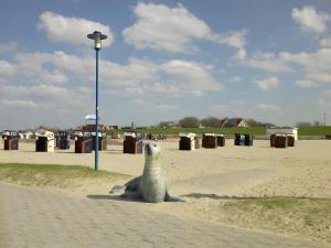 Fewo Deichblick