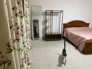 Biancaneve I Suoi Nani