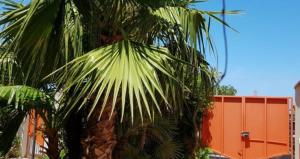 Villa Tra Cielo e Sabbia 2