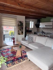 Terrace Escape Studio