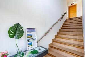 4 Terraza - Antilles sin jardin