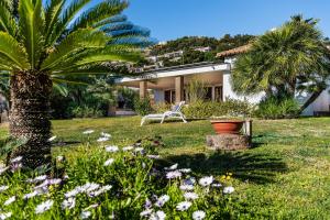 Villa Palme img1
