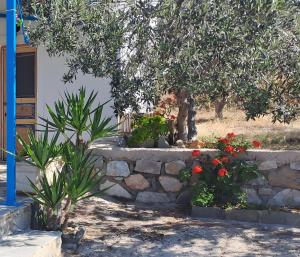 Syros Mandala Studio