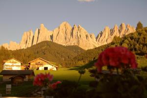 Hilber App Furchetta Small