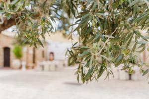 Agriturismo Ponte Calatrasi