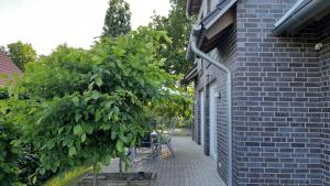 Ferienwohnung Birkenhof Alfsee