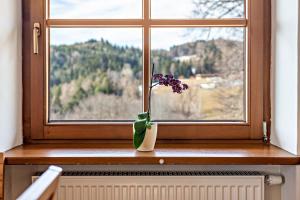 Alpin Farm Linde - Oberweidacherhof