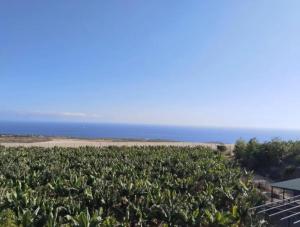 La Atalaya