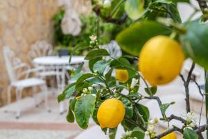 New casa Ilaria close to center