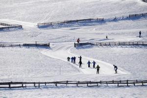 Apartment Linde- Fiechterhof