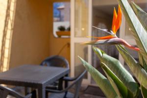 Appartamento Irgoli - Sardegna