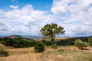 Casale Poggio Rocco
