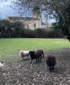 Le Clos Du Gorion - Chambre dHôte