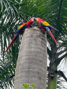 Casa Pura Vista - Best View Home in Manuel Antonio