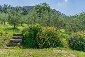 Agriturismo Dulù - Luminoso Spazio