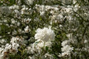 Agriturismo Dulù - Luminoso Spazio