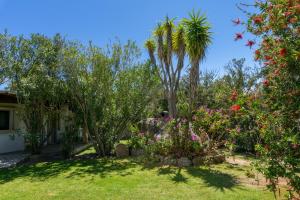 Villa Roccia img34