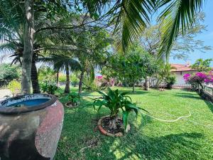 Villa DOMAINE Mũi Né Phan Thiết Travel