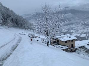 Appartamento Il Giardino