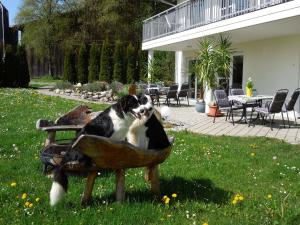 Ferienhaus Steinenberg
