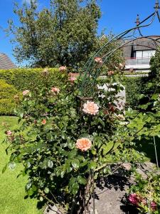 Ferienhaus Ilse Hans