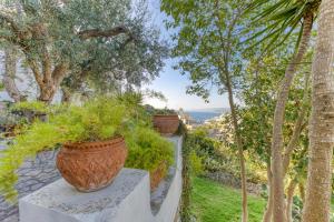 Villa Blu La Cambusa