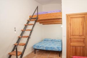 Sole img16