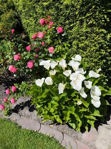 Ferienhaus Ilse Hans