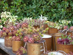 La Chambre aux Oiseaux