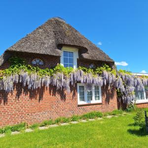 Ferienwohnung Unter Reet