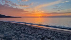 Casa con terrazza nella Pineta img16