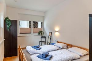 Ferienwohnung Brandbergblick