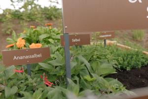 Ferienwohnung Schupf Wieserhof