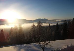 Wohnung Arnika Stücklhof